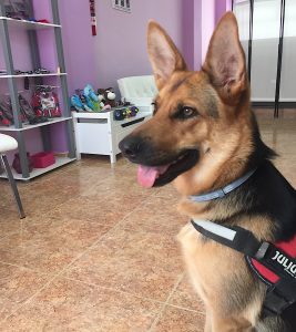 Greta busca juguetes