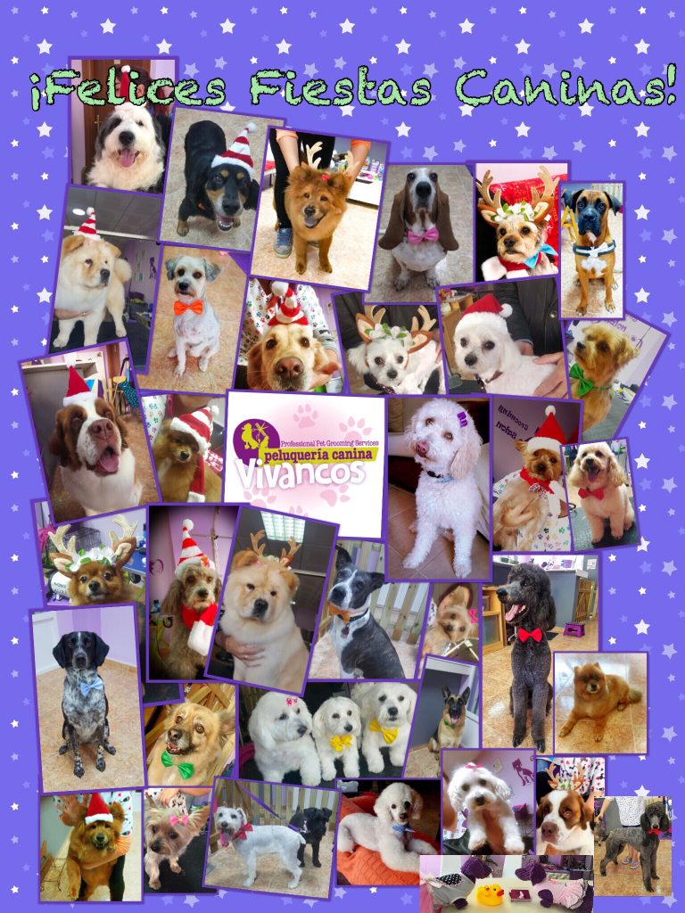 Tarjeta de Felicitación Navideña